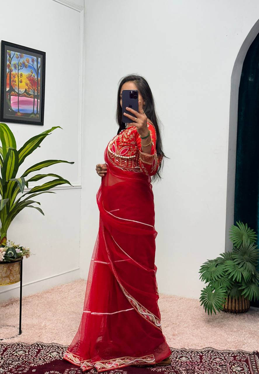 Heavy Embroidered Net Saree with 4000+ Pearl Moti Work